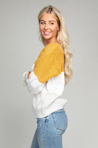 Yellow Color Block V neck Knit
