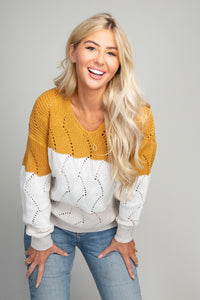 Yellow Color Block V neck Knit