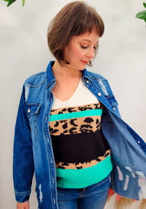 Leopard V Neck Turquoise Sweater