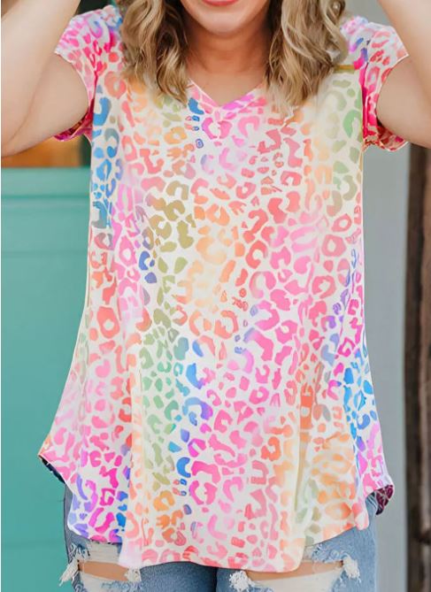 Multi Color Leopard V Neck