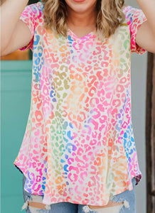 Multi Color Leopard V Neck