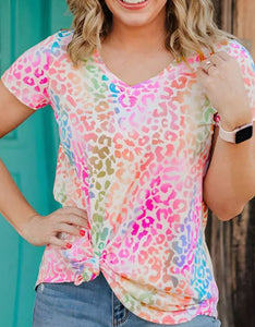 Multi Color Leopard V Neck