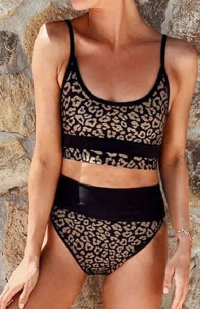 Two Piece High Waist Leopard Bikini