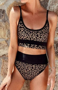 Two Piece High Waist Leopard Bikini